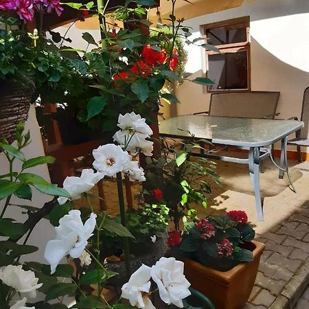 U Pani Malirky Apartment Valtice Exterior photo